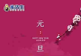 再见，2020！腾飞，2021！